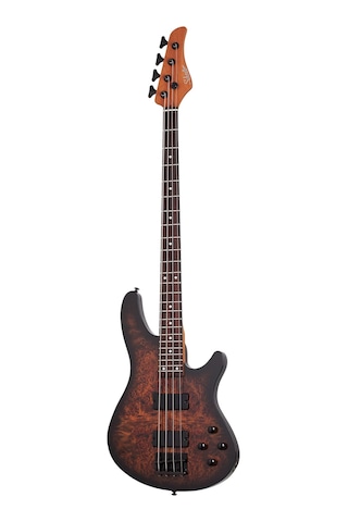 Schecter C-4 Standard Bas Gitar Tobacco Burl