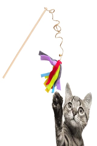 Brt Pet Everypet Ekonomik Jüt Ipli Kedi Oyun Oltası