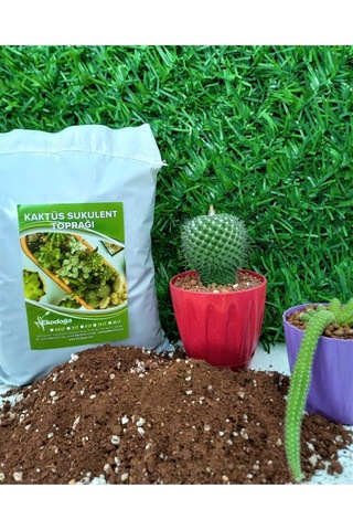 Kaktüs Toprağı 10 Lt Sukulent Toprağı Aloe Vera Toprağı Ithal Torf Pomza Perlit Vermikulit Karışımı Diğer