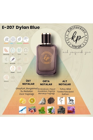 KP E-207 Erkek Parfüm EDP 50 ML