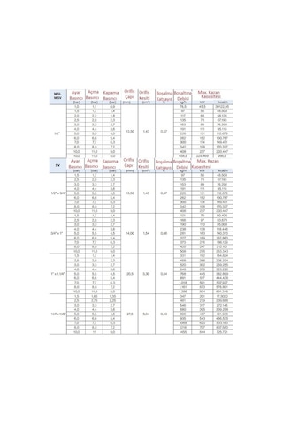Watts Emn. Ventili 1''-5 Bar - Svw-218305