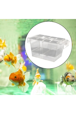 Suntek Emme Bardağı Ile Balık Yetiştirme Kutusu Palyaço L