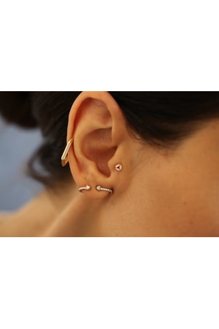 Reis T10518 Dia Earcing Altın