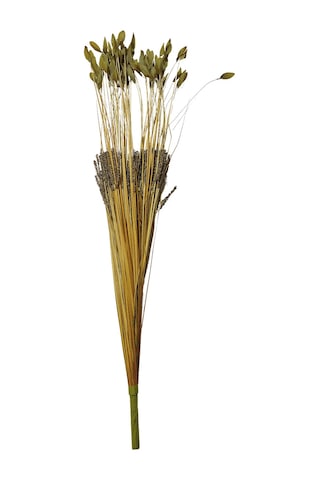 Pasabahce Grass 75 Cm Yeşil - 1 Adet