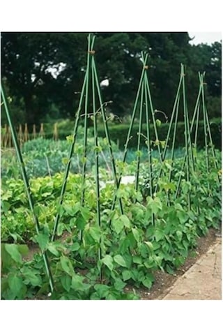 Botanika 53713 Bitki Destek Çubuğu 120 Cm 10 Adet