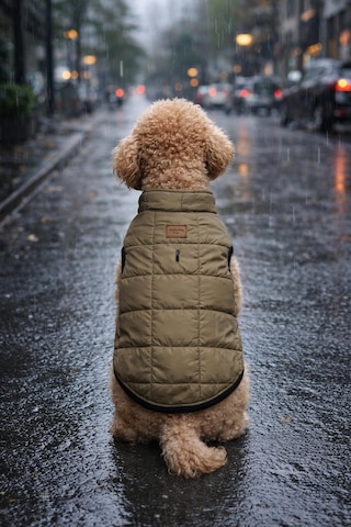 Alphadog Haki Puf İçi Kadife Küçük Irk Pofuduk Köpek Yağmurluğu