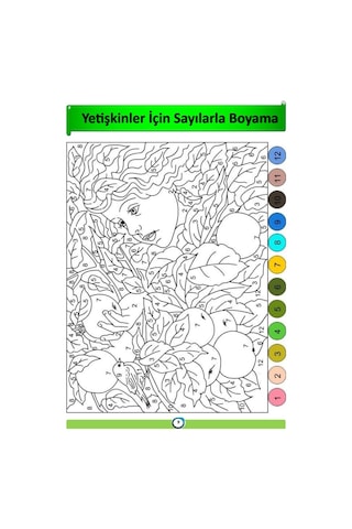 Yetişkinler İçin Sayılarla BOYAMA Kitabı
