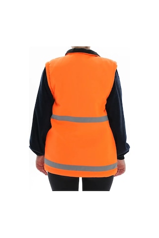 Turuncu Polarlı Mühendis Montu Turuncu