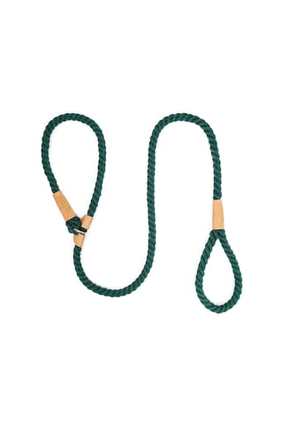 Geeroyoo Köpek Eğitim Tasma İpi - Patlamaz Örgülü P Zincir, Renkli Ve Konforlu Tutma Yeri İle Kullanımı Kolay Ve Dayanıklı Yeşil
