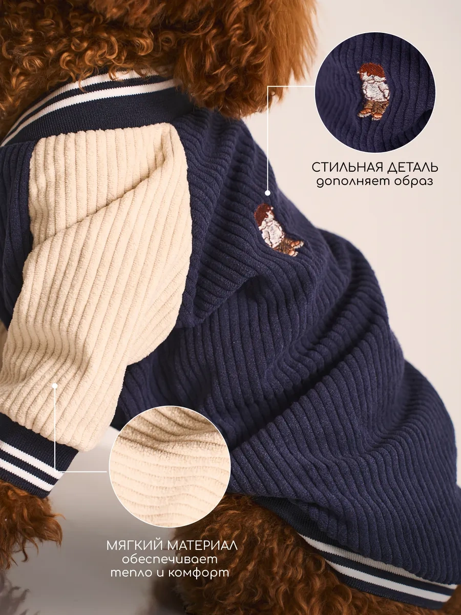 Petite Pets Küçük Irklar İçin Köpek Bombardıresi 338568297