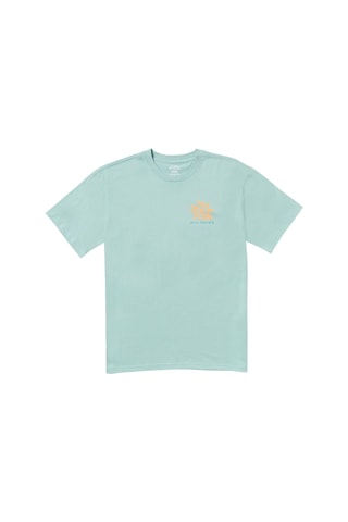 Bıllabong Billabong Sunshine Regular Ss Erkek Yeşil Tişört 4410 Yeşil
