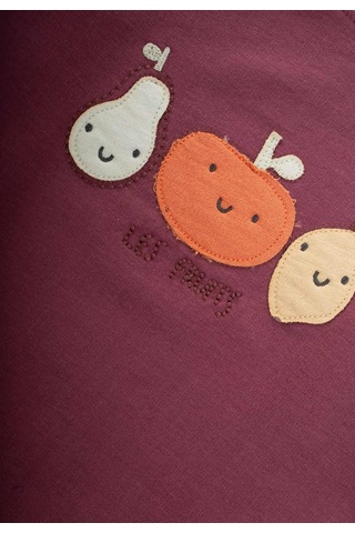 Sweatshırt Takım 1-5 Yaş Mürdüm Mürdüm