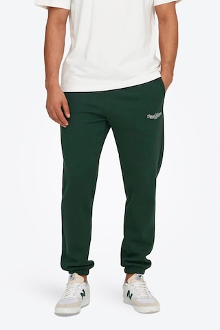 Only & Sons Onsriley Pamuklu Lastikli Paça Sweat Pants Yeşil Eşofman Altı - 22030142 Yeşil