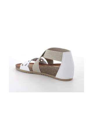 Sandalet Kadın Diğer 7698000 Igı&co Dsm 76980 Vıt.ıngr.gaucho Bianco Beyaz