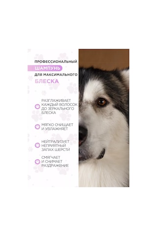 Love Cat Love Dog Profesyonel Köpek Şampuanı 232472839