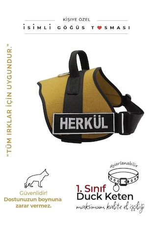 Kişiye Özel, Isimli K9 Köpek Tasması, Göğüs Tasması Camel