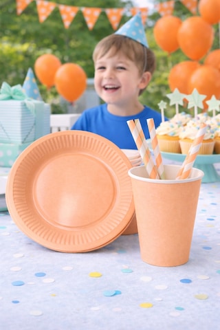 Beysüs Makaron Somon 8li Tabak Bardak Set