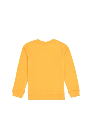 U.S. Polo Assn. Erkek Çocuk Mango Bisiklet Yaka Basic Sweatshirt 50313979-VR244