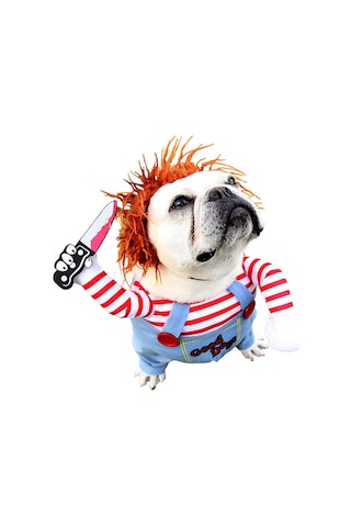 Küçük Köpekler İçin Cadılar Bayramı Kostümü - Özel Günler İçin Şe