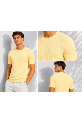 Ribana Erkek Bisiklet Yaka Kısa Kollu Esnek Örme Triko T-shirt 26091 Sarı