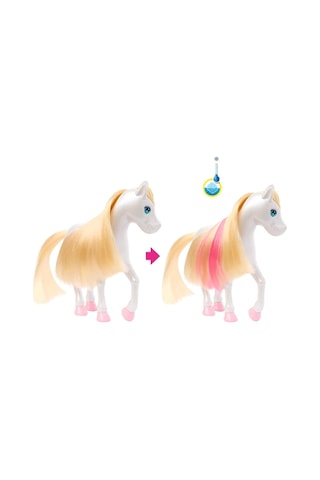 Barbie A Touch Of Magic Chelsea ve Pegasus Oyun Seti HNT67