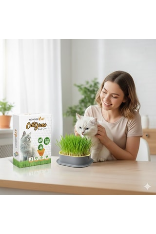 Wondercat Kedi Kulaklı Kedi Otu Mix Karışım Kedi Çimi