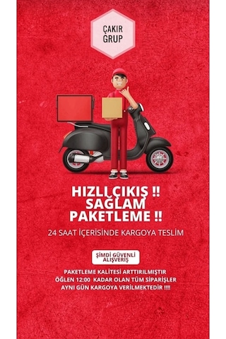 2 Adet Lastik Tamir Köpüğü Sprey Kiti 450 Ml-acil Lastik Şişirici