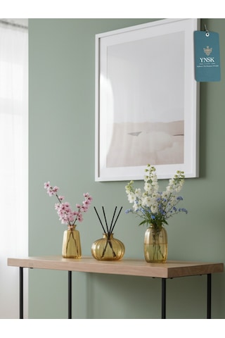 Chacha Home Modern 3'lü Minimalist Cam Çiçek Vazosu Dekoratif Masa Üstü Vazo Seti Bal
