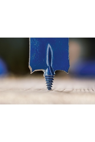 Bosch Expert 25 X 152 Mm Ahşap Yaprak Kelebek Delme Ucu 2608902098