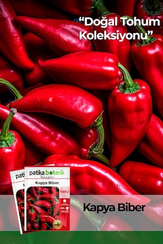 150 Adet Yerli Ata Kapya Biber Tohumu