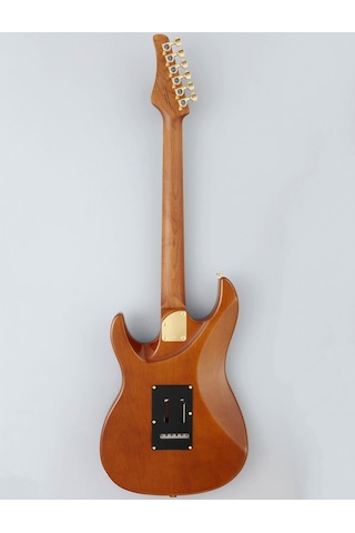 Fujigen Odyssey Elektro Gitar Eos2ew1rm/hcb