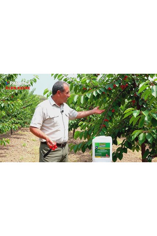 Pashaworm Mix Konsantre Gübre 20 L