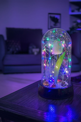 Anneler Gününe Özel Beyaz Lale Rgb Peri Ledli Fanus Lamba Usb'li Yapay Çiçek Dekoratif Hediyelik
