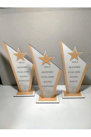 Mrchediyesepeti Turuva Tavla, Satranç,futbol, Voleybol, Basketbol Plaketi Altın - Beyaz