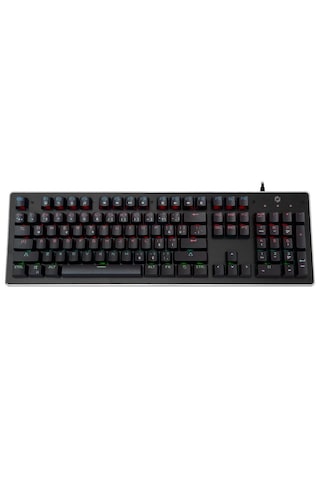 Gameforce Raider Blue Switch Rainbow Mekanik Oyuncu Klavye