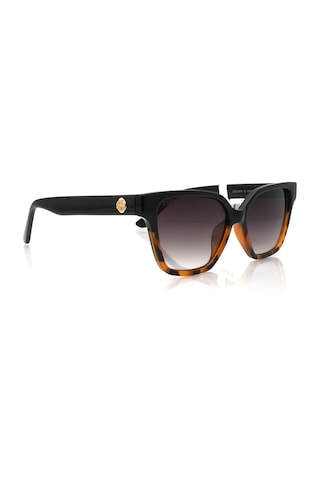 U.s. Polo Assn. U.s.p.a. 0470 C5 53-15-145 Güneş Gözlüğü Kahverengi