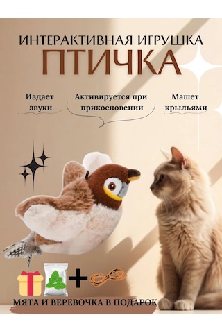 Kediler İçin Etkileşimli Oyuncak 'kuş' 321860329