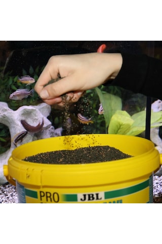 Jbl Pro Novo Malawı Grano M 100gr. Açık