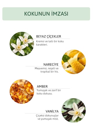 Aveline Beyaz Çiçek, Narenciye, Amber Ve Vanilya Notalı Kokulu Saç Ve Vücut Spreyi Body Mist 200 Ml
