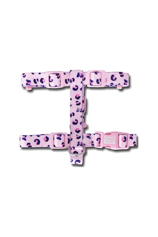 Swissplus Urban Paws Pink Leo Geri Dönüştürülmüş H-tipi Köpek Göğüs Tasması-2xl Pembe - Pudra
