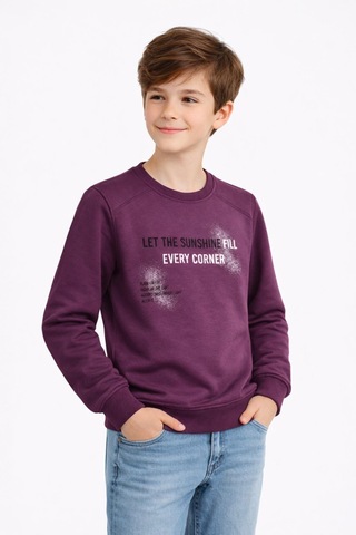 Baglan Erkek Çocuk Önü Arkası Baskılı Sweatshirt Bgl-st05231 Mürdüm