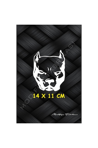 Pitbull Sticker Folyo - Beyaz - 14 X 11 Cm