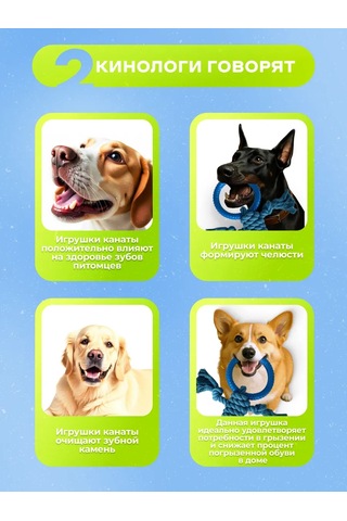 Murrkovka Köpekler İçin İpli Çekme Oyuncağı Ve Çekiş Oyuncağı 449102796