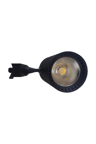 30 Watt Led Ray Spot N11.219