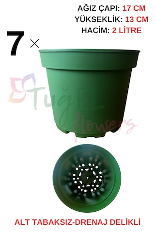 7 Adet Plastik Saksı 2 Litrelik Alt Tabaksız Koyu Yeşil 17 Cm 7 Adet Plastik Saksı 2 Litrelik Alt Tabaksız Koyu Yeşil 17 Cm