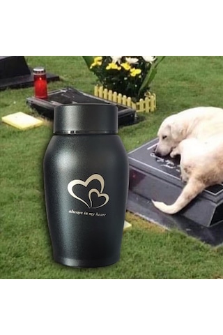 Homyl Pet Urns Paslanmaz Çelik Hatıra Urn Su Geçirmez Siyah Altın