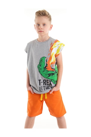 Denokids Mshb&g T-Rex Alev Erkek Çocuk T-Shirt Şort Takım Çok Renkli