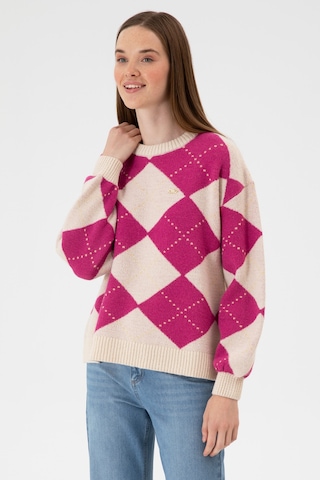U.S. Polo Assn. Kadın Krem Bisiklet Yaka Kazak 50314665-VR071