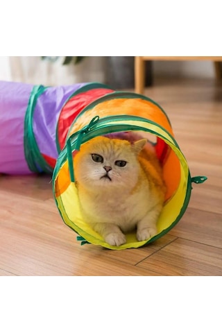 Petürkiye Kedi Oyun Tüneli