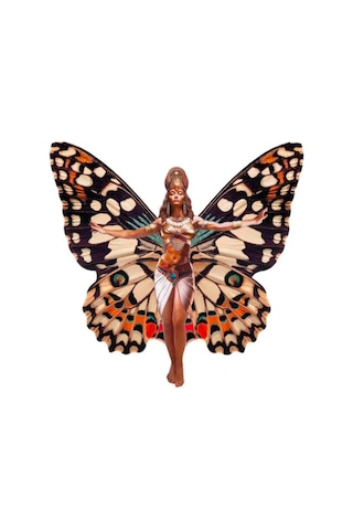 AgaKulche Kelebek Kadın 2024 Gümüş Sikke Coin